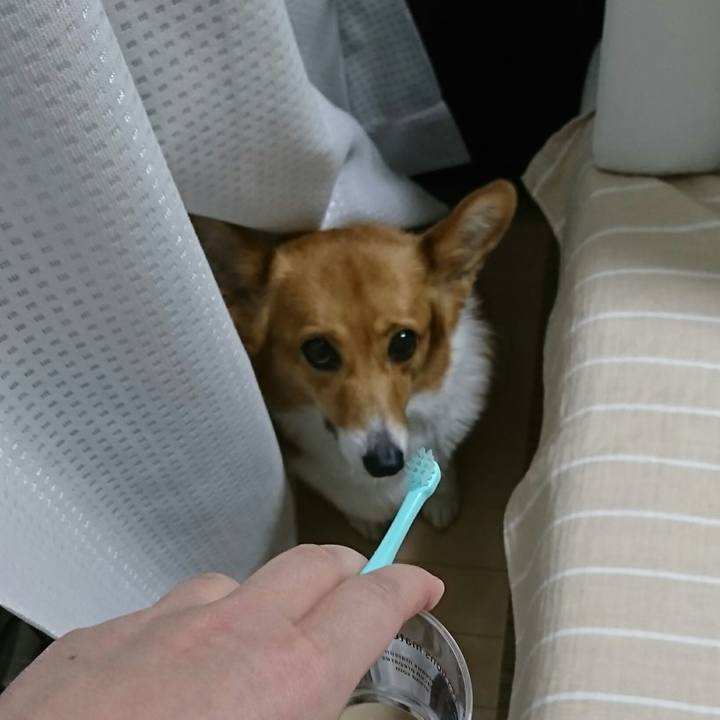 8f7f21f4 d83a 4600 b652 c94cf9bc38c8 1552569442722