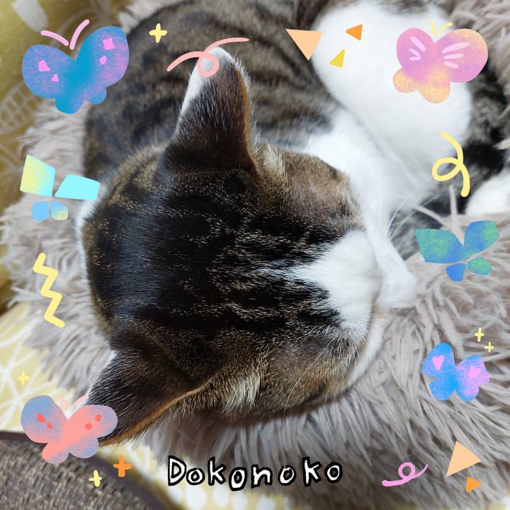 8f7f3e21 deaf 4bd3 b051 5ff3a183a08a 1711017591217