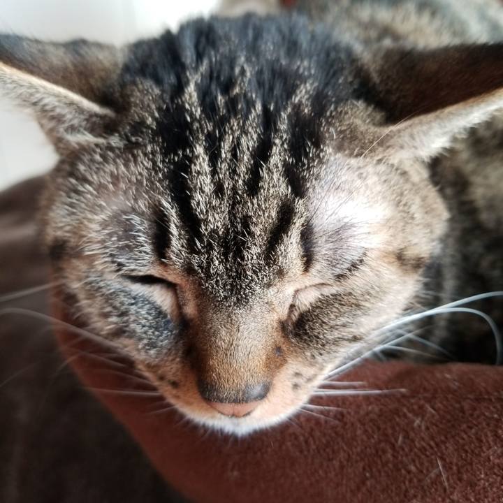 8f7f4edd 9f76 4579 bc16 d158facf34aa 1576284450109