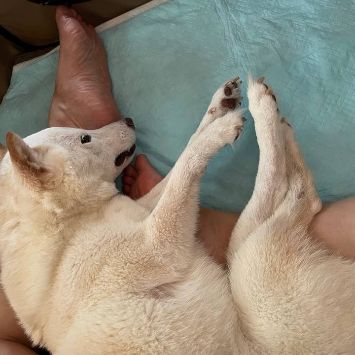 8f7f634b f155 4642 83ac 13124ef42432 1659685288379