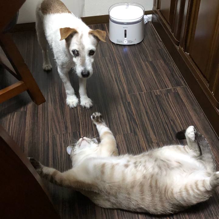 8f7f722a 7bd3 440b b01b 25a53f7870d4 1626440171212