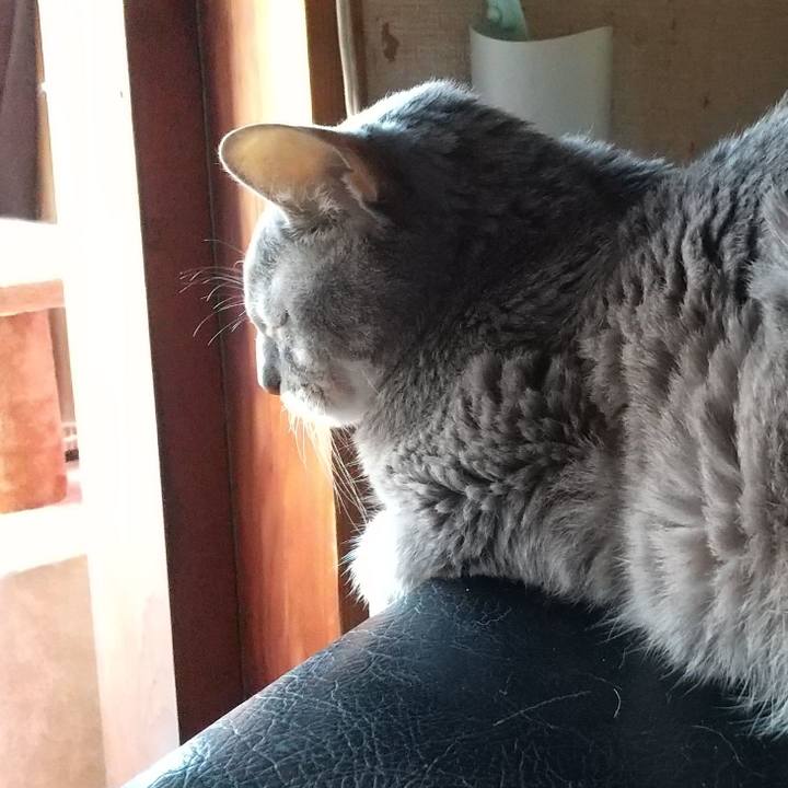 8f7f7d09 0bbe 4ba5 a369 6fd5c1f213e1 1698992647257