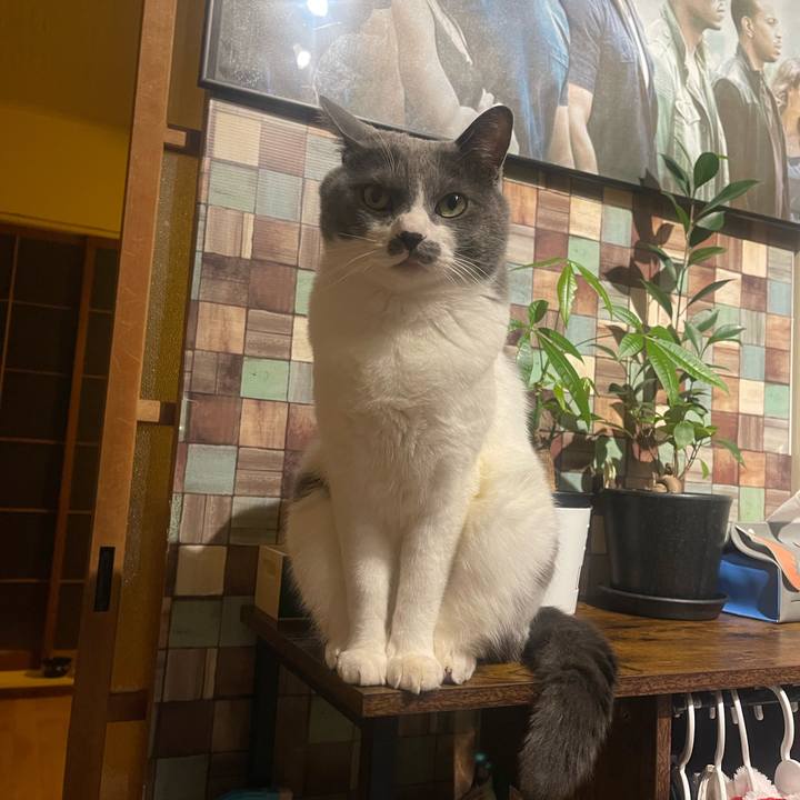 8f7f86f6 c723 4198 8050 3ab9cea03b85 1734942426775