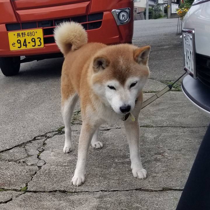 8f7fcc95 40c7 482c bd20 58df886672b8 1662094746217