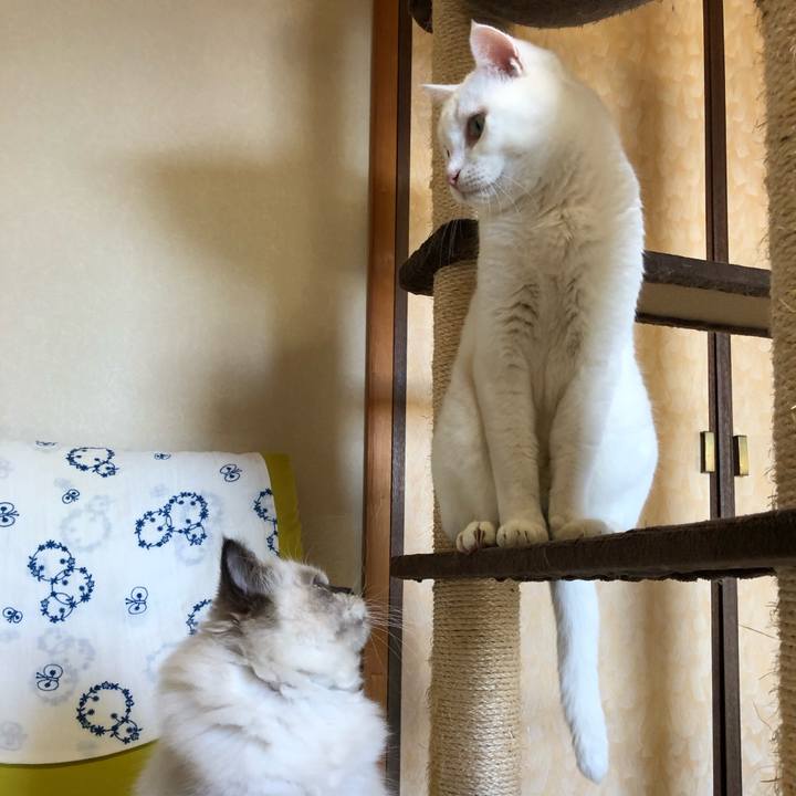 8f7fcf31 2731 419d a9cf 9a131063395c 1631968968158