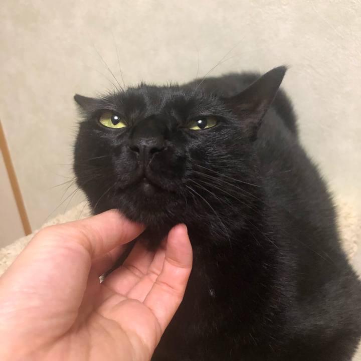 8f7fecc9 7cc5 488a af6a ab1cb6bc89a8 1565311416417