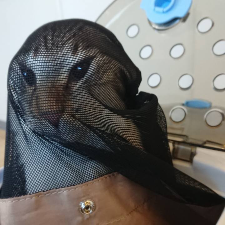 8f7fed0f 63d8 4162 9a28 d6d3cf2da9f0 1515813843027