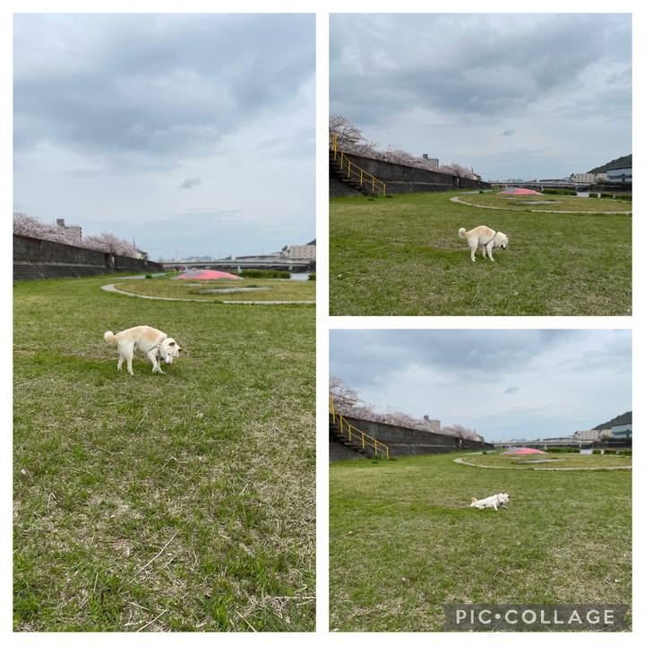 8f801ee4 f87c 46dd 9391 3e42044c51f5 1648537162171