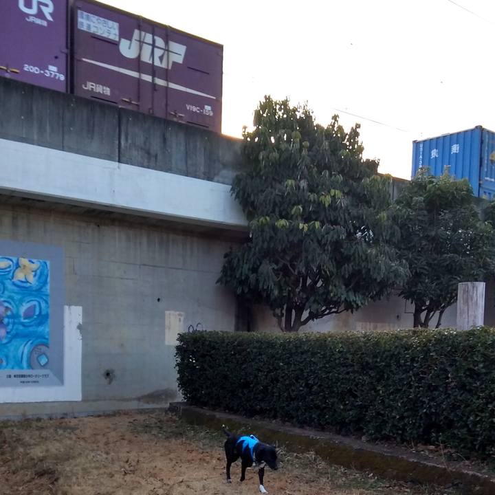 8f803409 4ab8 4ff5 afe8 bb80c8a9cd9d 1613263752783