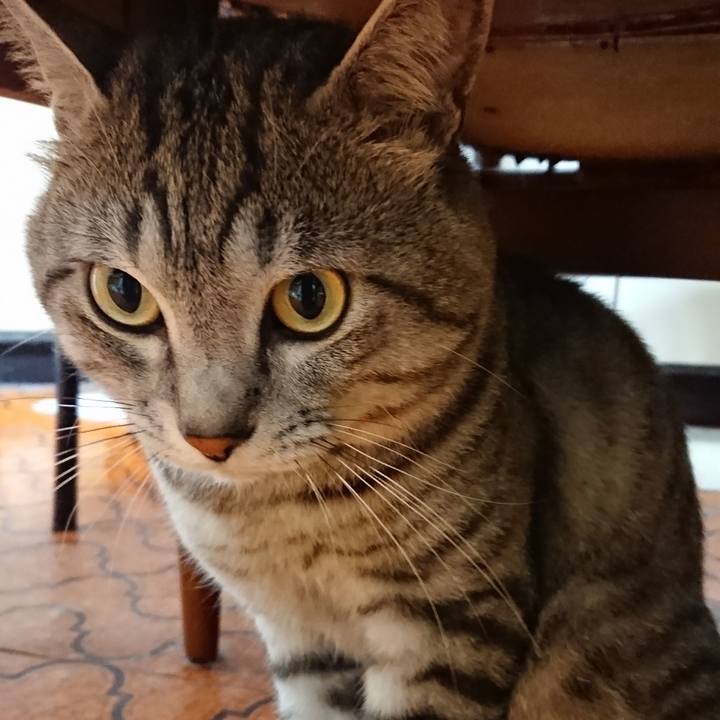 8f804b62 0cee 45f0 bb09 486839f15b32 1563462971439