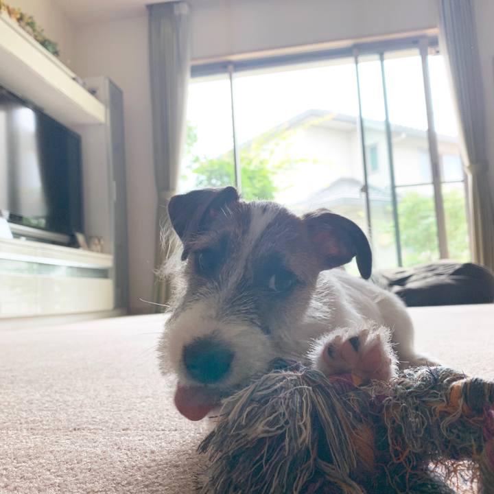 8f80546e d7e3 423b 8535 49c90fa20690 1562730526764