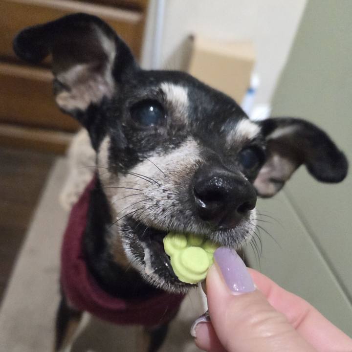 8f806010 ef2a 429e 969c 59a564d808aa 1767383395862