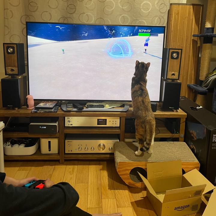 8f806f09 c965 4418 a181 d4a35b0075ed 1669762630734