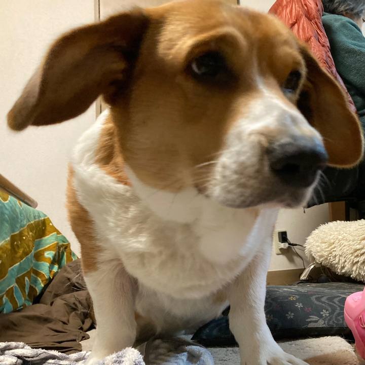 8f808ff0 48a1 45a6 9910 a0d72c700dcd 1670324081745