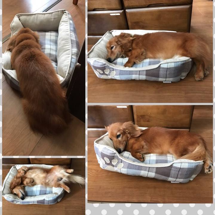 8f809c63 d57c 496e b62e ff45933afcee 1567915017296