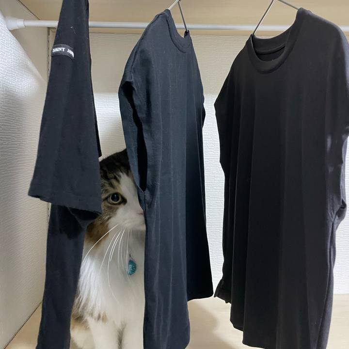 8f80a87b b4cd 46ab 9863 9f94d528b1b3 1728417550069