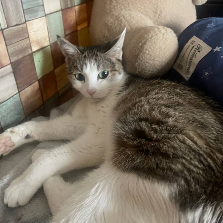 8f80cb53 3dbe 4ef1 b319 b5ffd6ccbaea 1641178308799