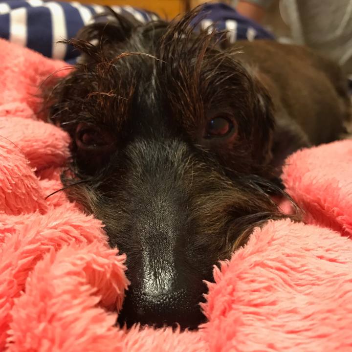 8f80e406 26b1 4bf4 b0f5 c0e557477d31 1541770247825