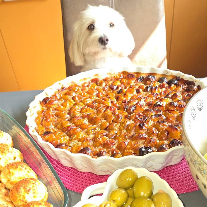 8f80eca4 caaf 4bc7 8dcb 20bd53d67dd5 1755853738362