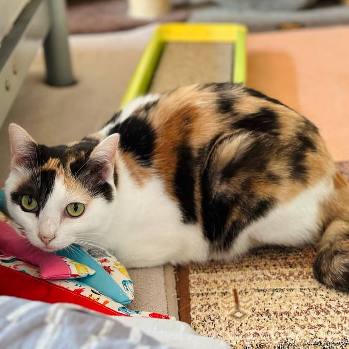 8f813dd0 dcd8 41b0 a846 a1de24b3f4b5 1693702054429