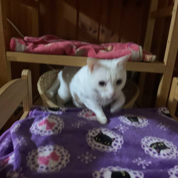 8f8143e3 07ca 47ce 8bd8 8ed547b444a6 1654004581343