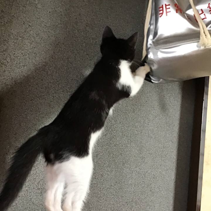 8f8171d2 6113 4c12 a29f 0b0342778ea0 1625017474152