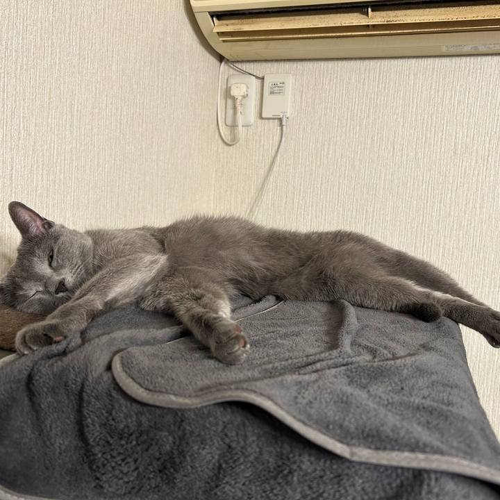 8f81a090 001a 495a a5d5 c44e70836826 1703806530460