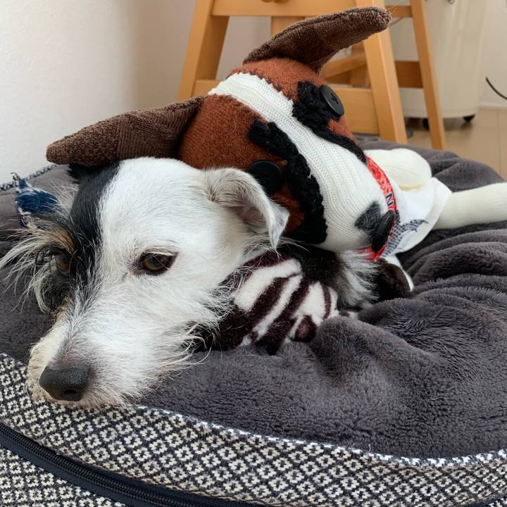 8f81a16f e59c 4bec a9d1 17e5fe2bff6b 1663895908655