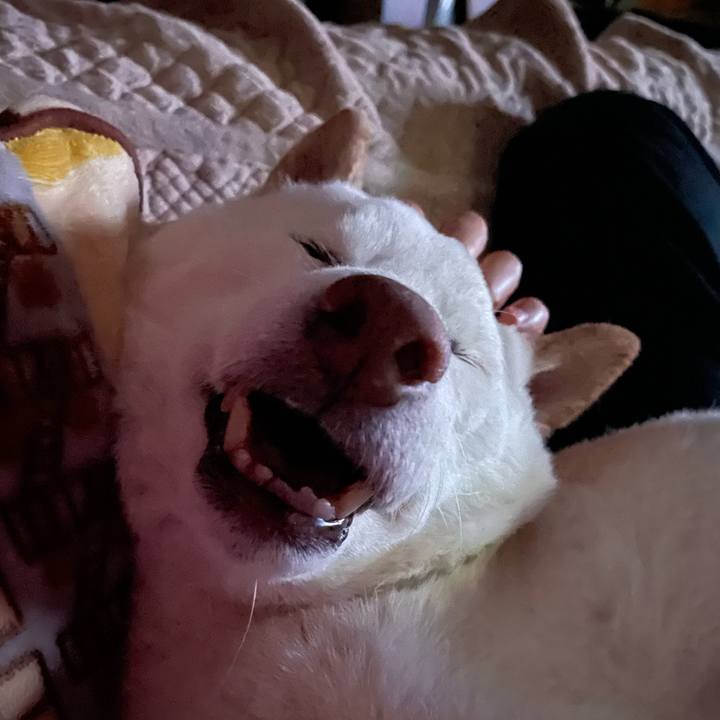 8f81a371 53ea 427a abdc 2ec19e70180e 1649908274677