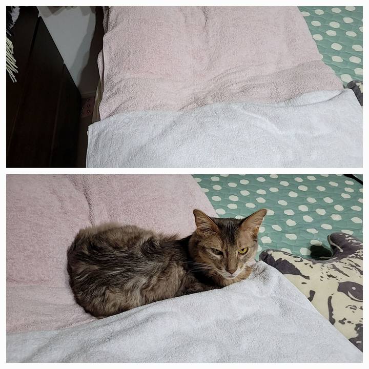 8f81b064 a085 4b6e b926 ec8196223166 1686534869522