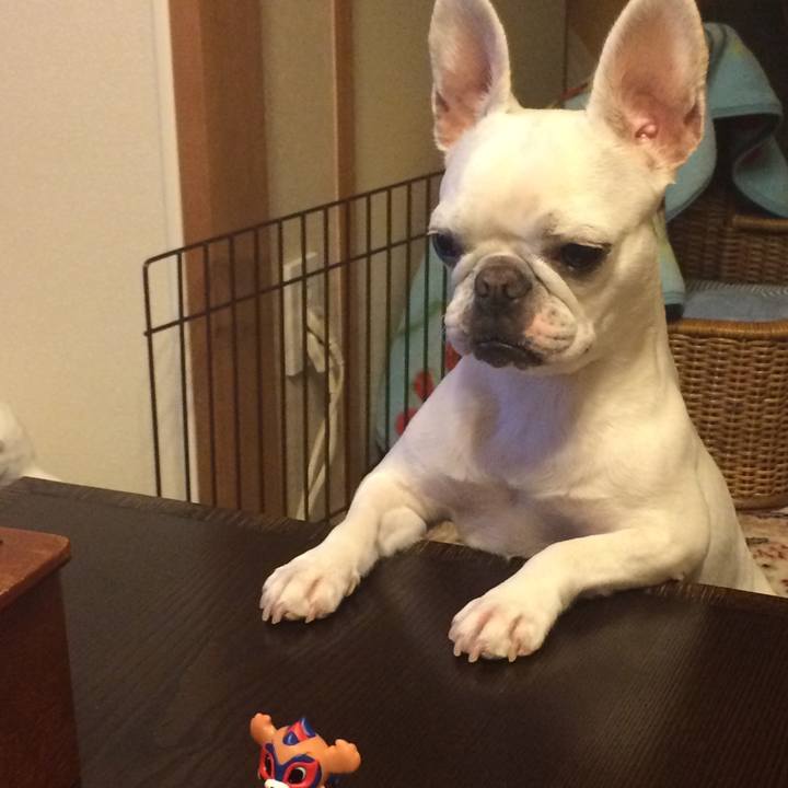 8f81c267 c144 49e4 94a2 03df3972989d 1526731213871