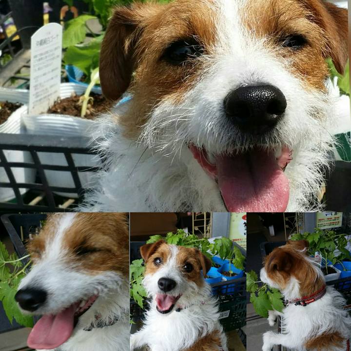 8f81d22d 32f0 456d 8517 65a26ac2be08 1527674966083