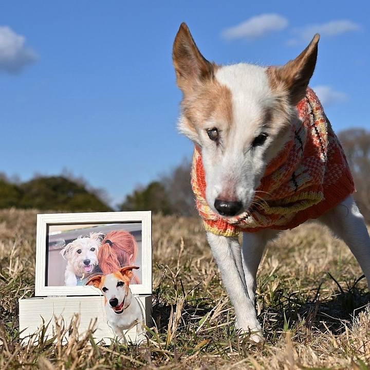 8f81d585 147a 4b4f 86d9 08c277f11dfc 1769438223003