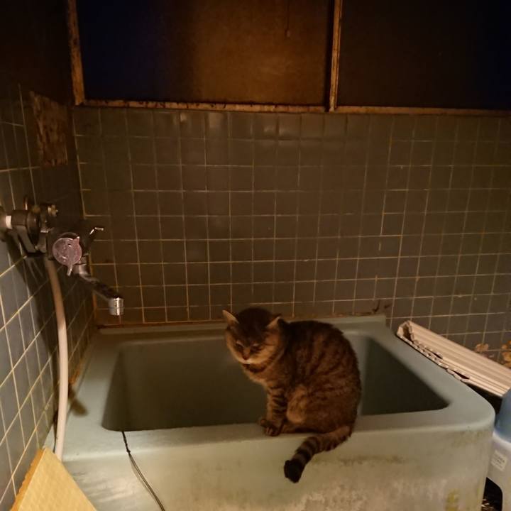 8f82190b fd21 4479 be46 0cd7c0a85490 1573374157281