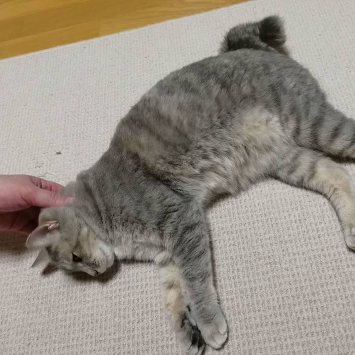 8f828698 8b00 4aff 884c 2ebe698d3b95 1538829881010