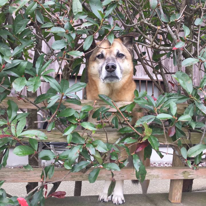 8f829455 7f06 4257 8bfd 98d4eea6a6f0 1511139266365