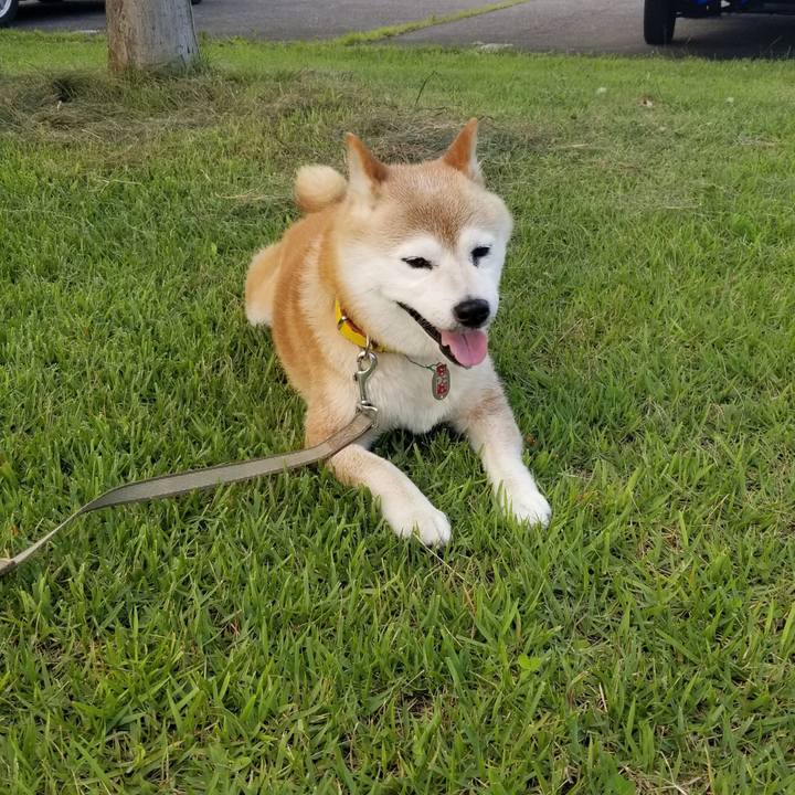 8f82a6e5 2e98 4572 a39f 4dacc9375a17 1689496404898