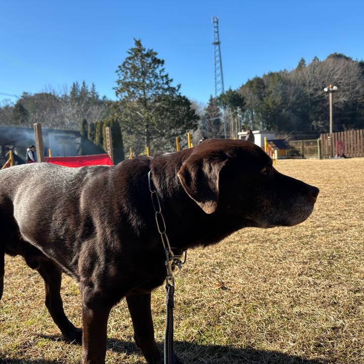 8f82adc5 592f 4e60 8cae 4d56bd7b5f8a 1767013315950