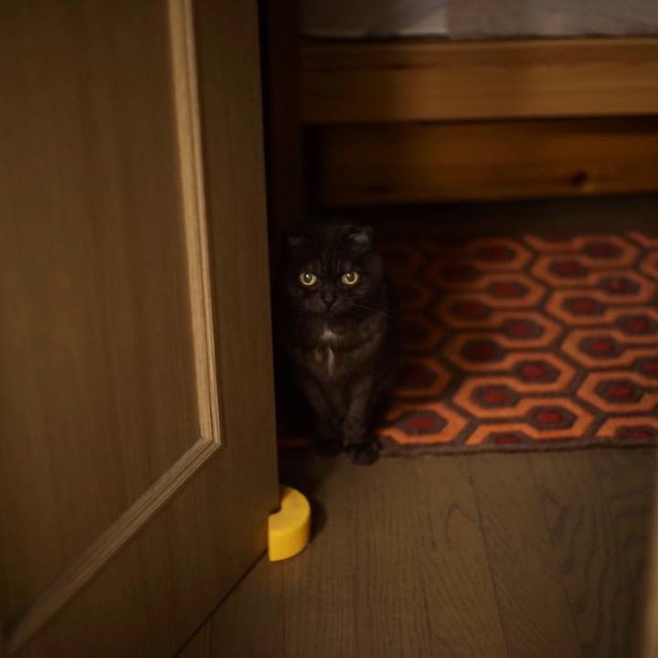 8f82e2dc f952 4a9c a556 c30c4e8a92d7 1619366712083