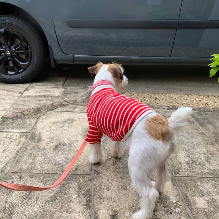 8f8309e4 cbd0 415c 8d2c e7da08d0924f 1593766844921