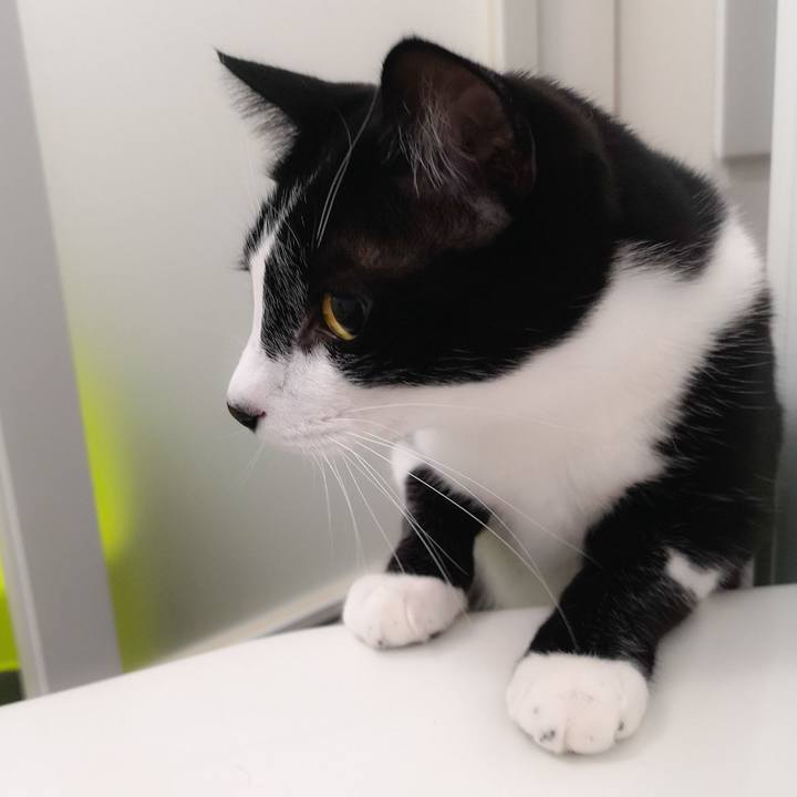 8f831b74 8d22 4813 96ef 3e74277fecf0 1544629392342