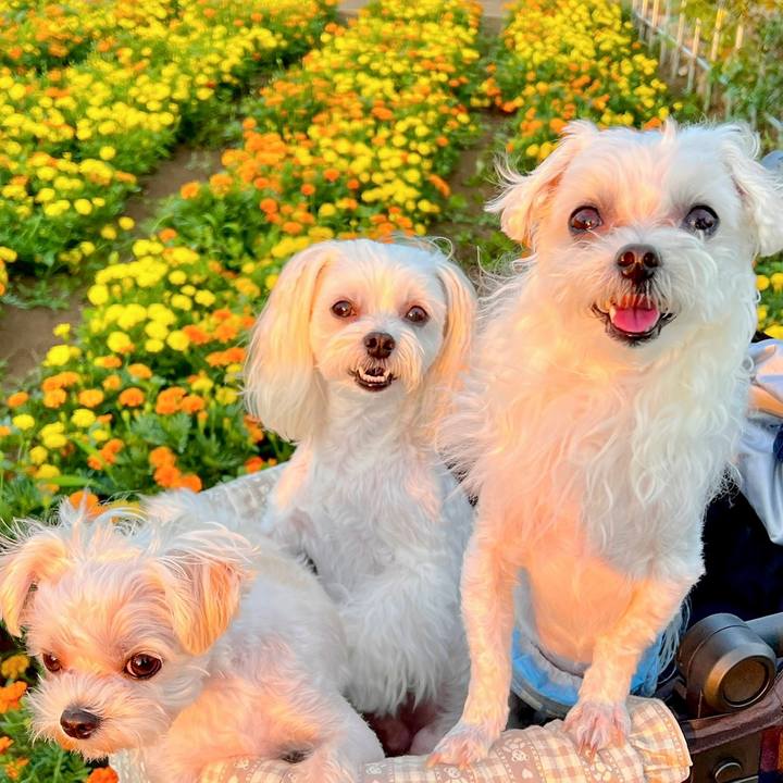 8f833198 9f73 4a8f 940d 2b9f98883cdb 1690891656726