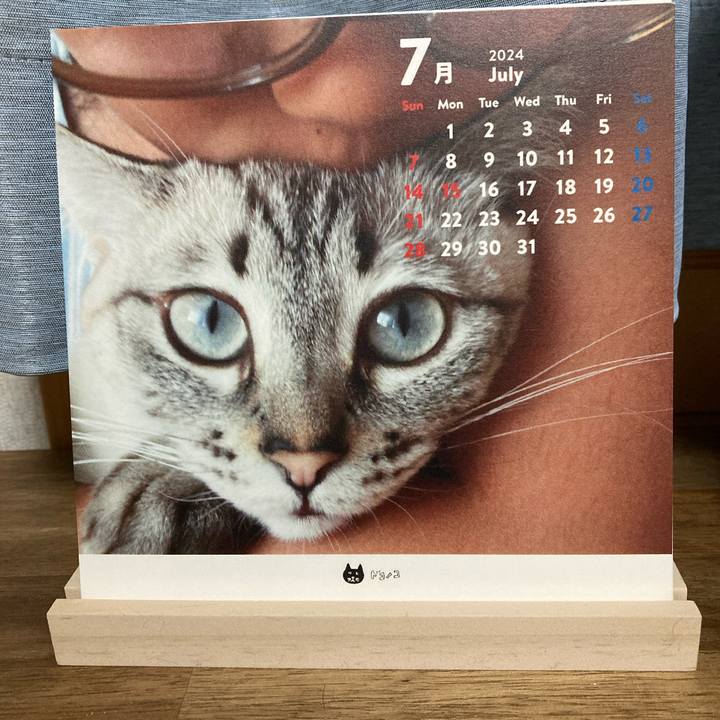 8f833476 3d56 4765 b274 b0254241d002 1719842806918