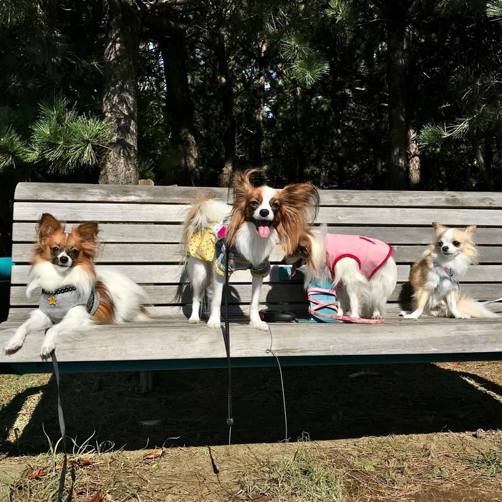 8f83347c 4c80 4b2c a9e2 5fef2e0c8ddd 1509700452904