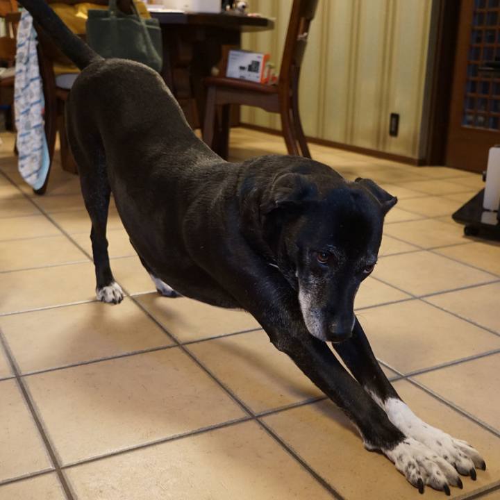 8f834ea9 a7b8 4de5 9294 b8a6c2ca0c27 1767315594887