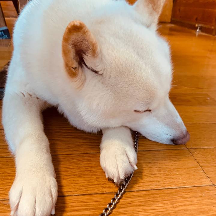 8f836318 30fd 43f3 9467 9f392f3e03bd 1580169722700