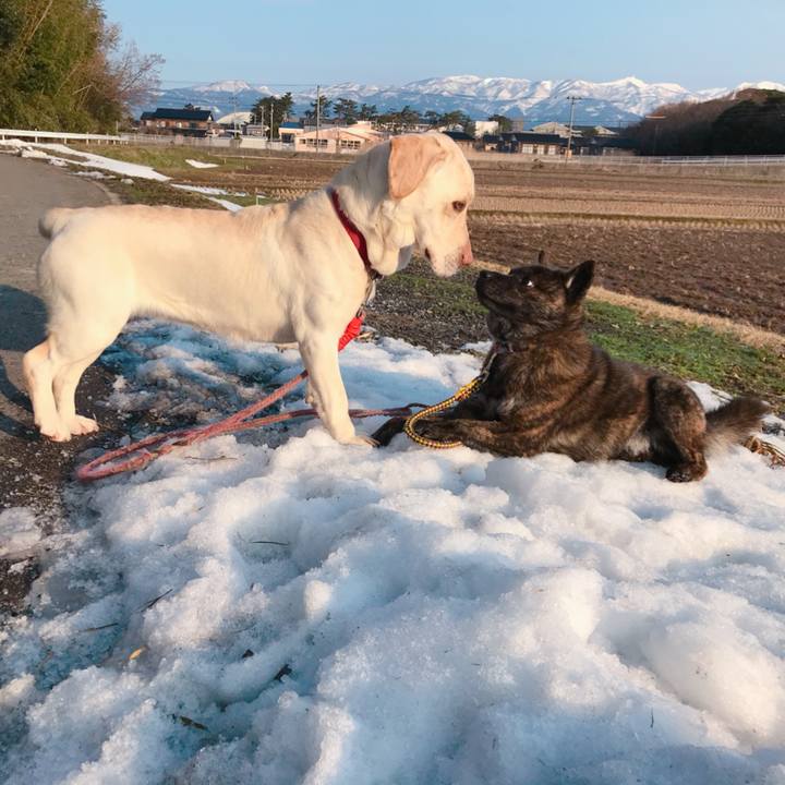 8f83945f 8348 42e3 9602 c49052d572bc 1519620426747