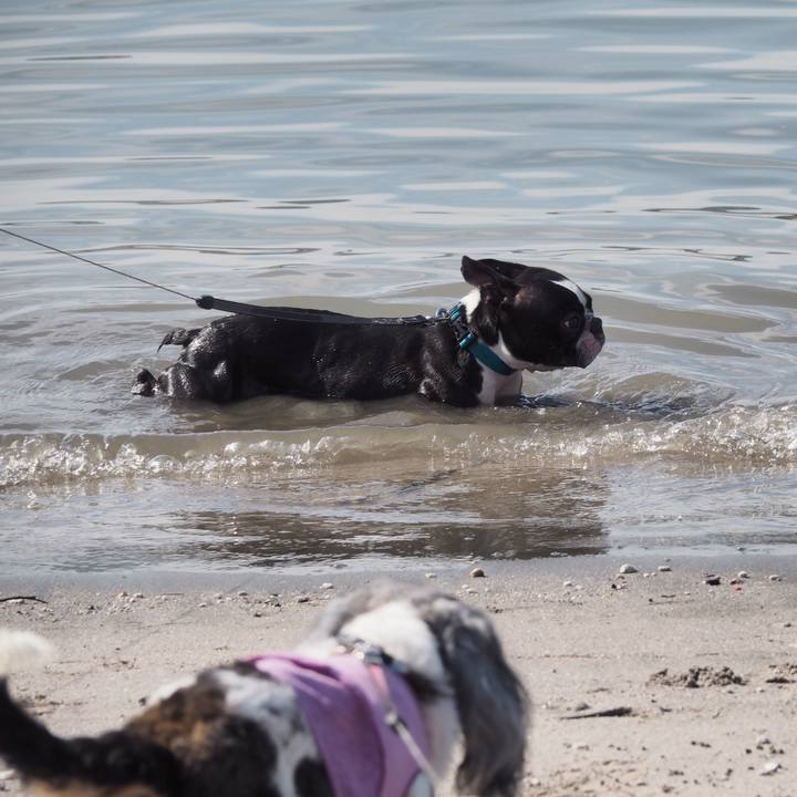 8f83ddc7 96c1 43c7 b7f4 0bfc8b909462 1572155924296