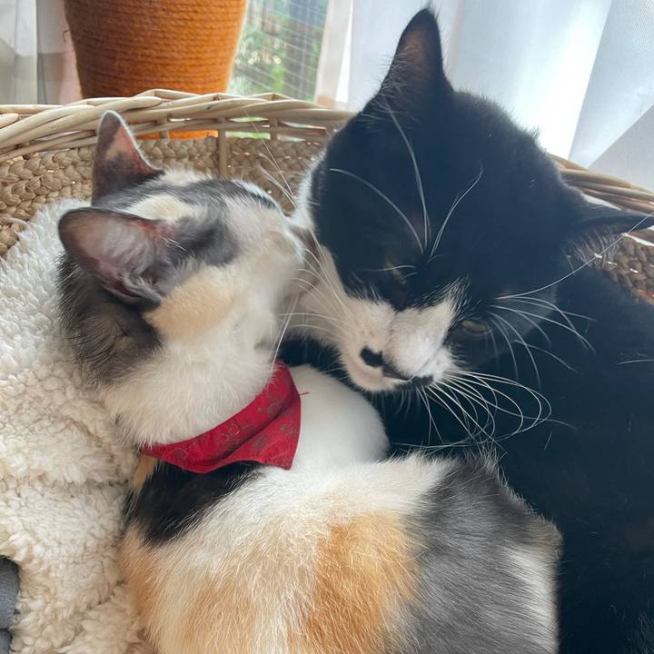 8f83ea1e dc52 4f26 984c 14ef5fa9c597 1730093873093