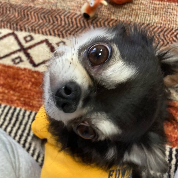 8f84166d ab95 47a5 971c ac51a3083b17 1674398726037